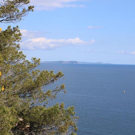 Studio L'Echappee Mandreenne Le Calme Entre Mer Et Foret Saint-Mandrier-sur-Mer Luaran gambar