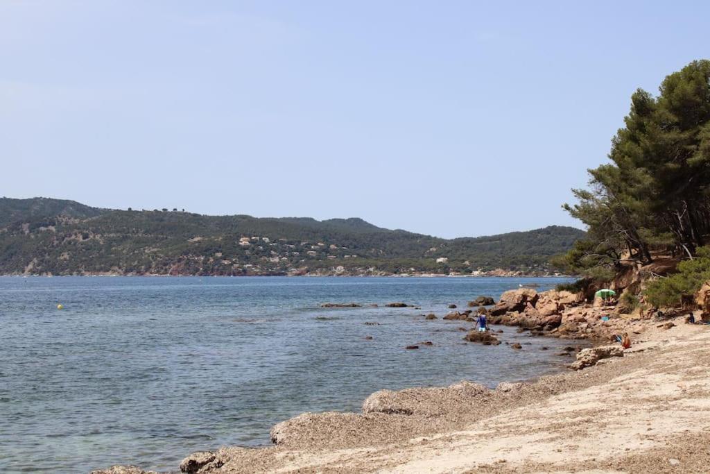 Studio L'Echappee Mandreenne Le Calme Entre Mer Et Foret Saint-Mandrier-sur-Mer Luaran gambar