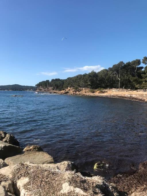 Studio L'Echappee Mandreenne Le Calme Entre Mer Et Foret Saint-Mandrier-sur-Mer Luaran gambar