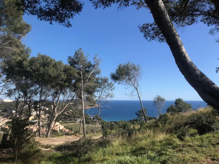 Studio L'Echappee Mandreenne Le Calme Entre Mer Et Foret Saint-Mandrier-sur-Mer Luaran gambar
