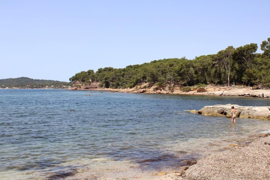 Studio L'Echappee Mandreenne Le Calme Entre Mer Et Foret Saint-Mandrier-sur-Mer Luaran gambar