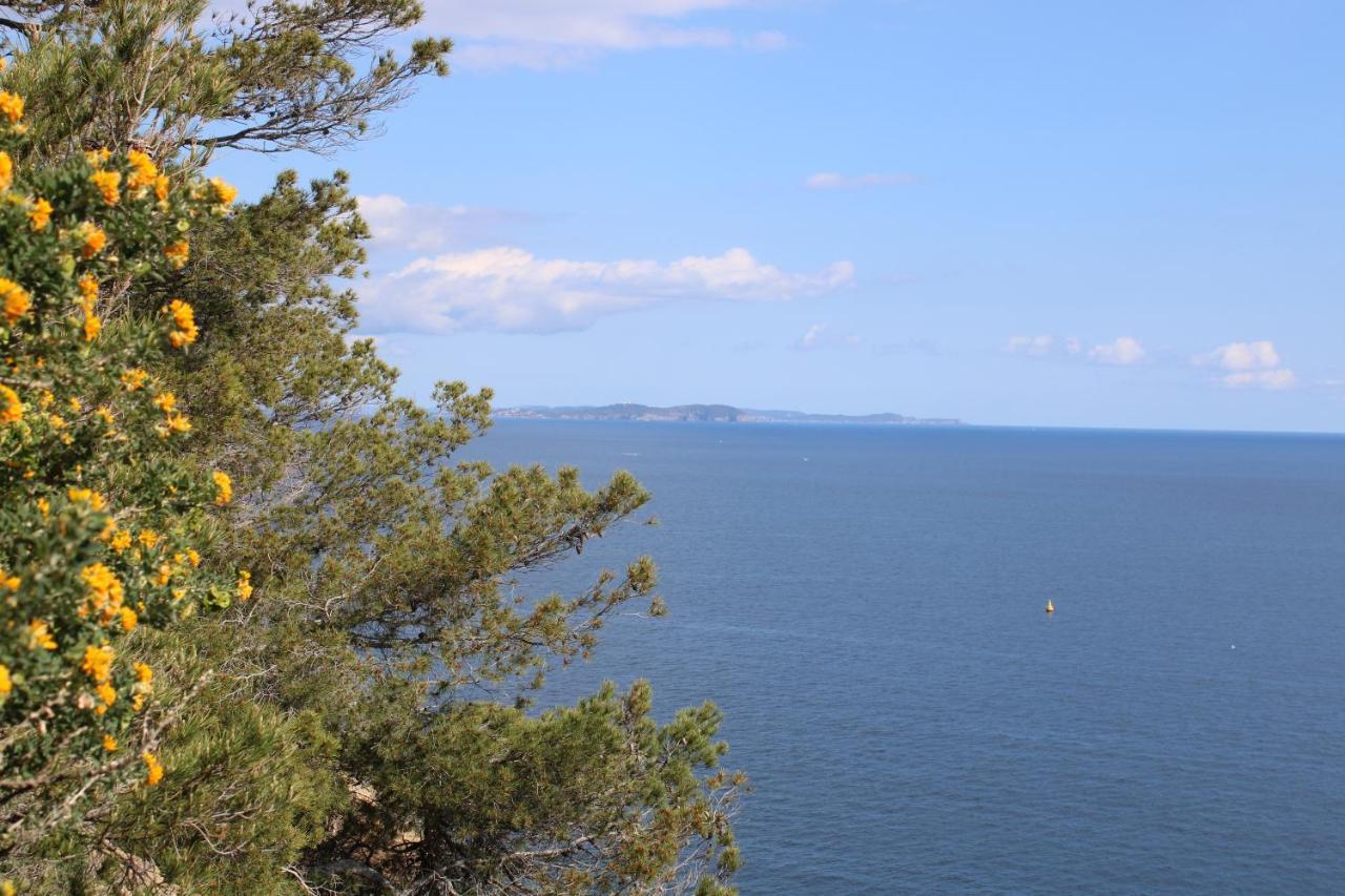 Studio L'Echappee Mandreenne Le Calme Entre Mer Et Foret Saint-Mandrier-sur-Mer Luaran gambar